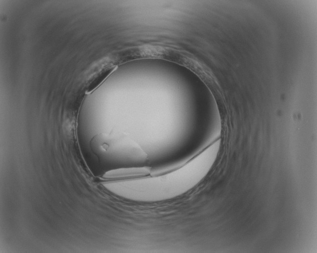 X0000082750329200702240045