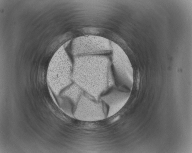 X0000082750330200702240045