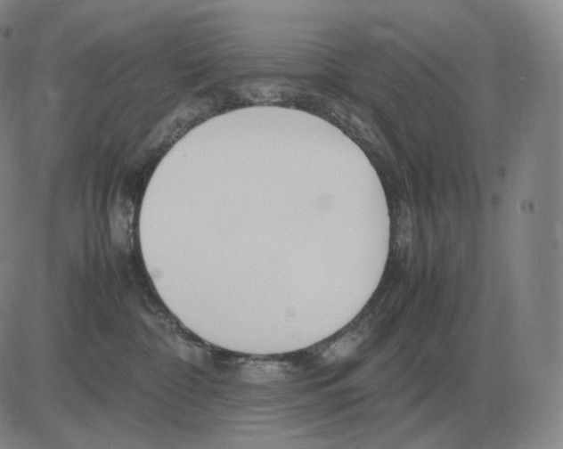 X0000082750332200702240045