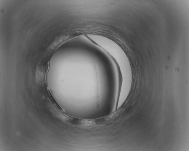 X0000082750333200702240045