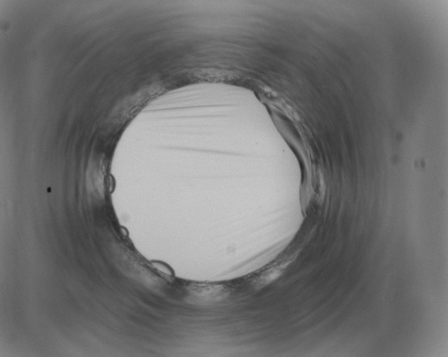 X0000082750334200702240045