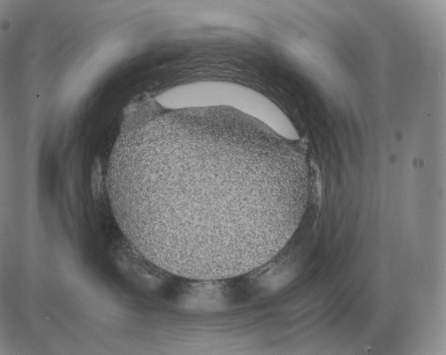 X0000082750335200702240045