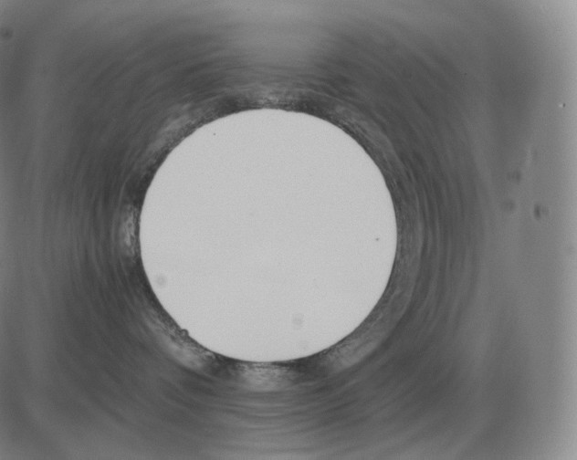 X0000082750336200702240045