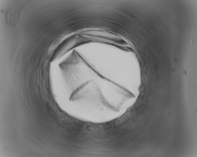 X0000082750337200702240044