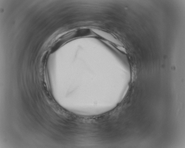 X0000082750339200702240044