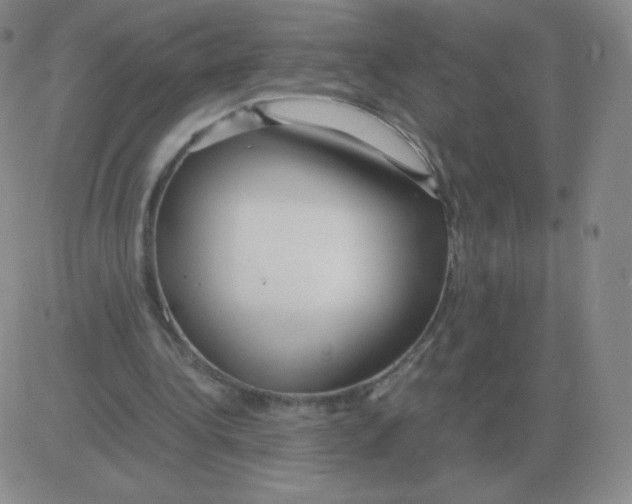 X0000082750340200702240044