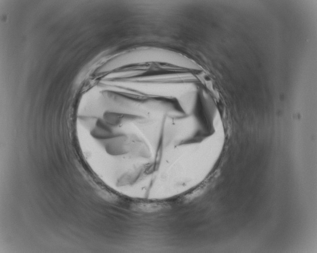 X0000082750341200702240044