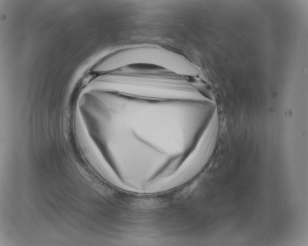 X0000082750342200702240044