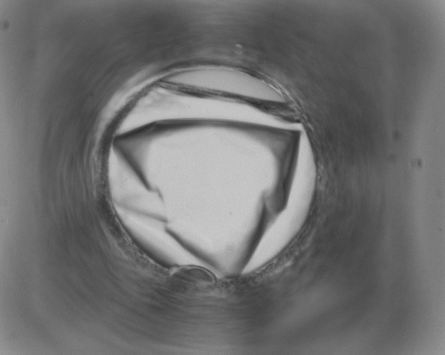 X0000082750343200702240044