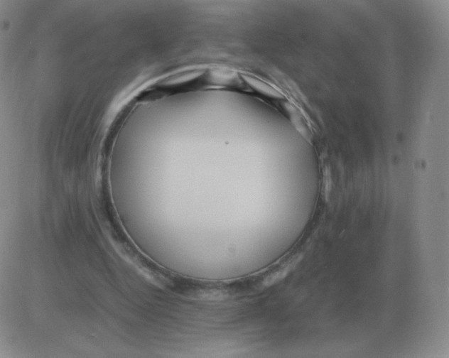 X0000082750344200702240044