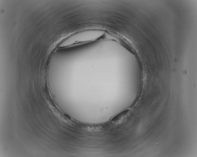 X0000082750345200702240044