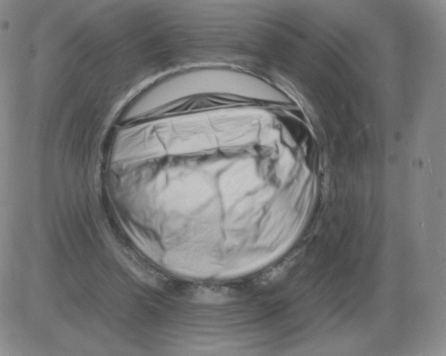 X0000082750346200702240044