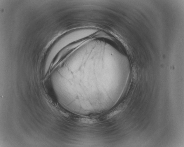 X0000082750347200702240044