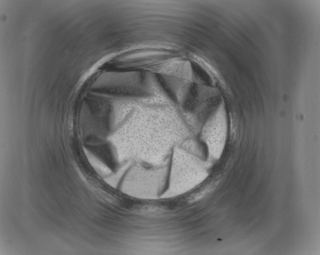 X0000082750348200702240044