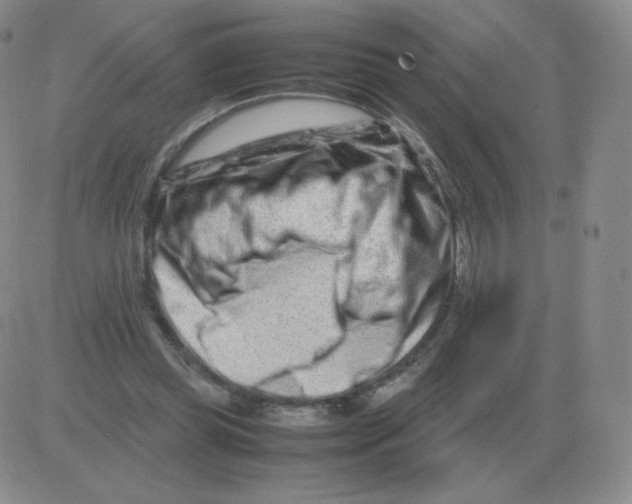 X0000082750349200702240044