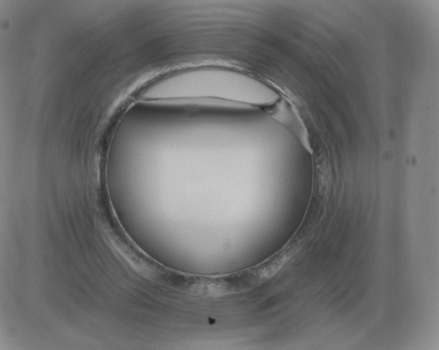 X0000082750350200702240044