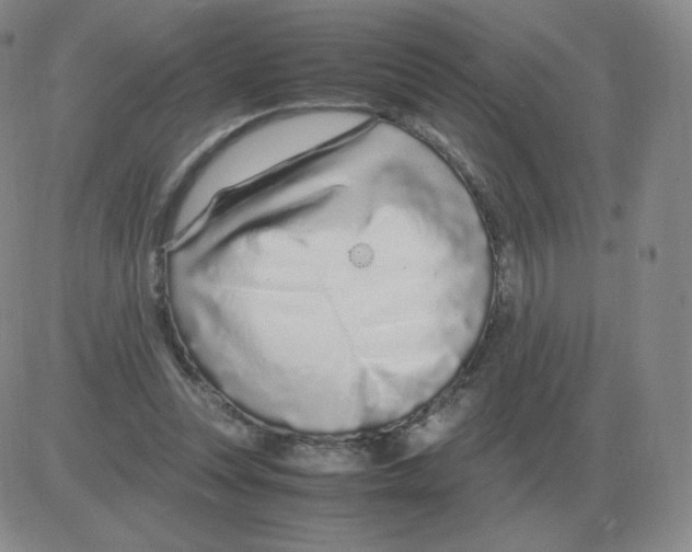 X0000082750351200702240044