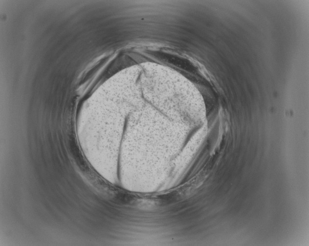 X0000082750352200702240044