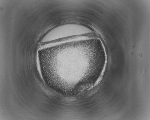 X0000082750353200702240044