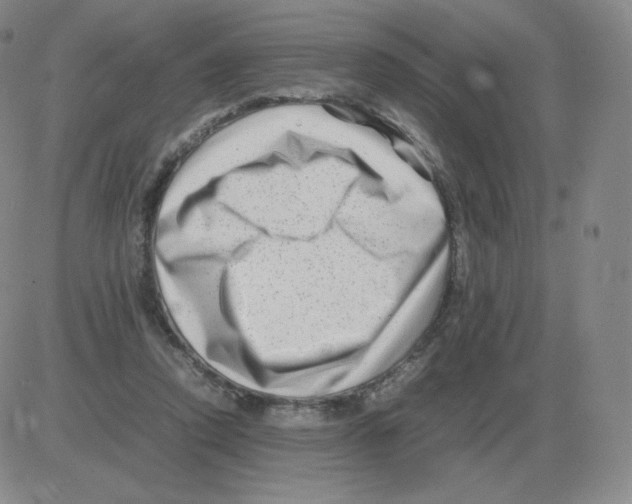 X0000082750354200702240044