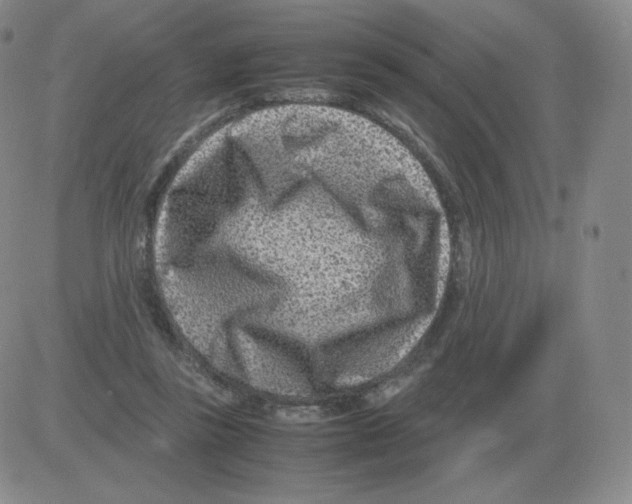 X0000082750355200702240044