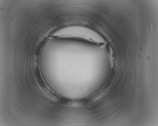 X0000082750356200702240044