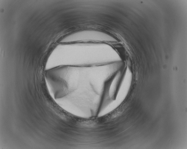 X0000082750357200702240044