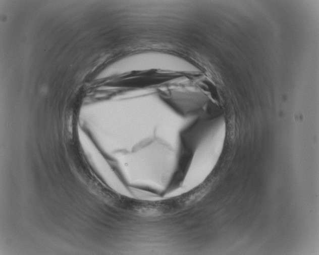 X0000082750358200702240044