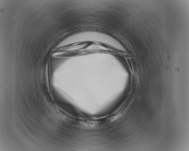 X0000082750359200702240044