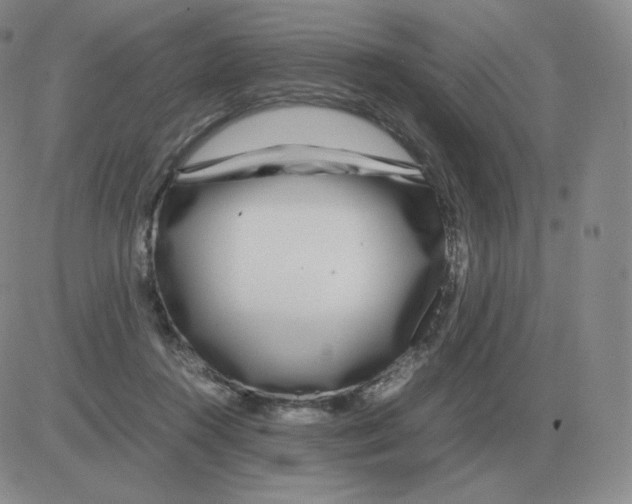 X0000082750360200702240044