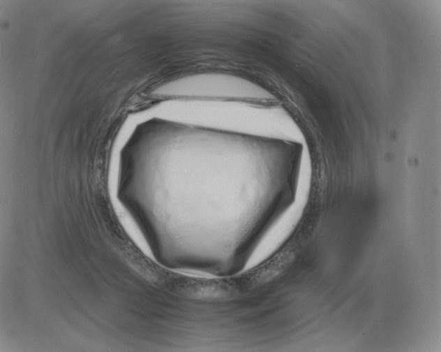 X0000082750361200702240044