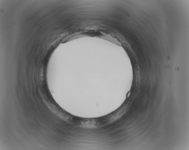 X0000082750362200702240044