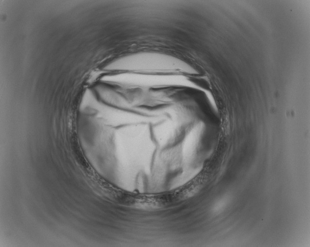 X0000082750363200702240044