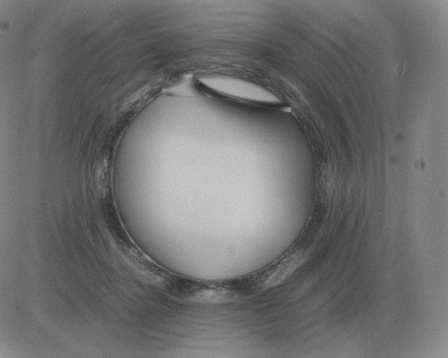 X0000082750364200702240044