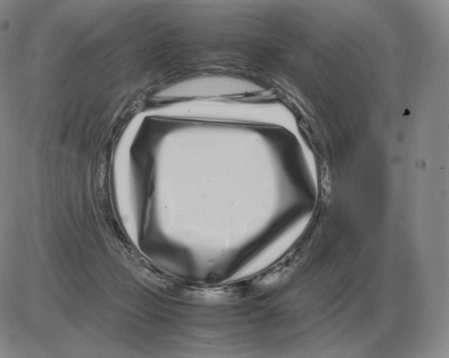 X0000082750365200702240044