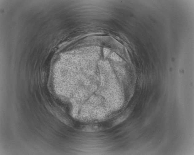 X0000082750366200702240044