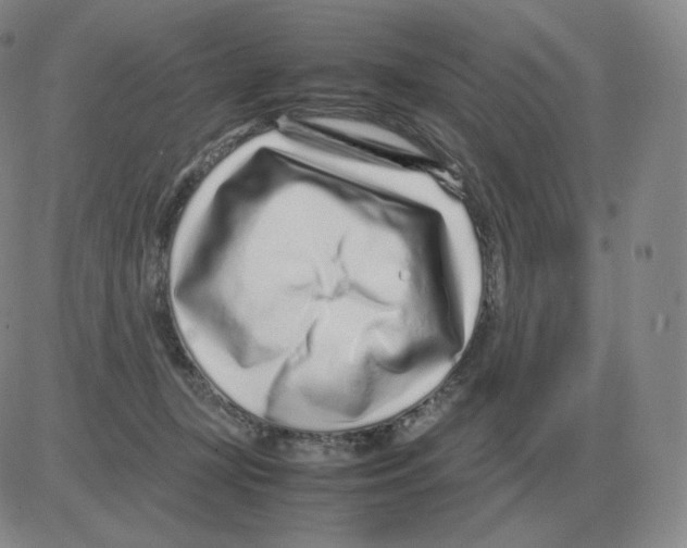 X0000082750367200702240044