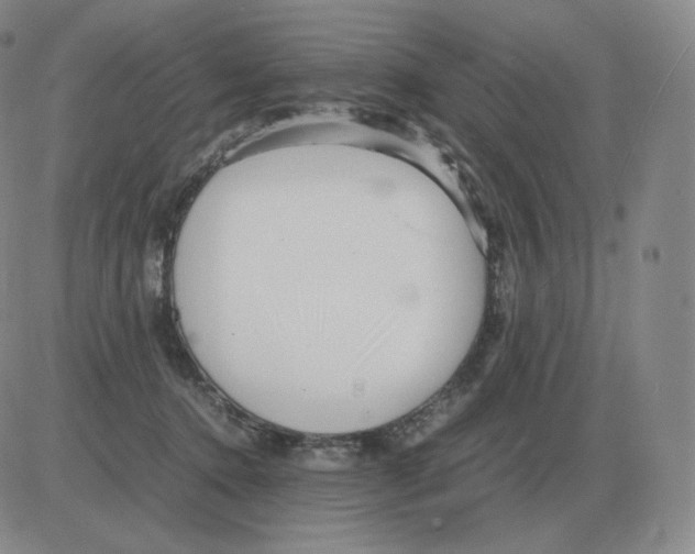 X0000082750368200702240044