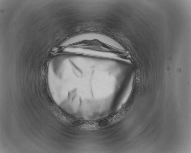 X0000082750369200702240044