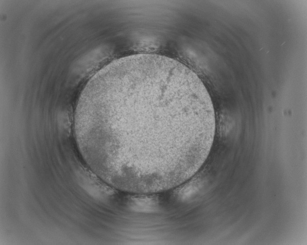 X0000082750370200702240044