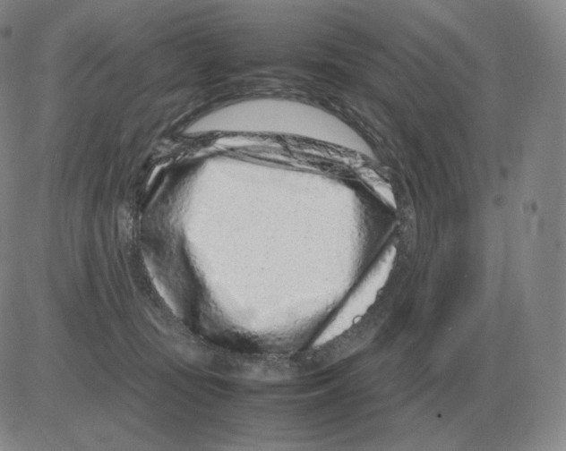 X0000082750371200702240044