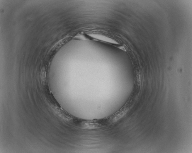 X0000082750372200702240045