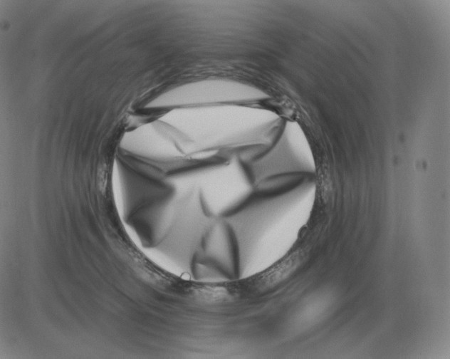 X0000082750374200702240045