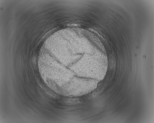 X0000082750375200702240045