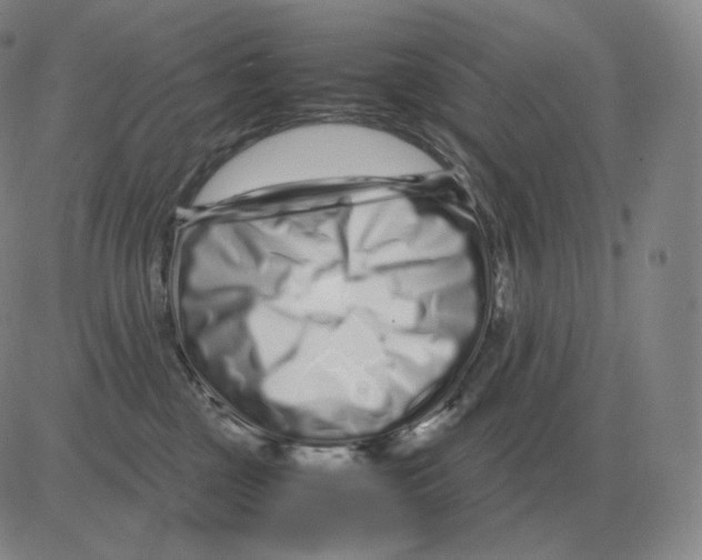 X0000082750377200702240045