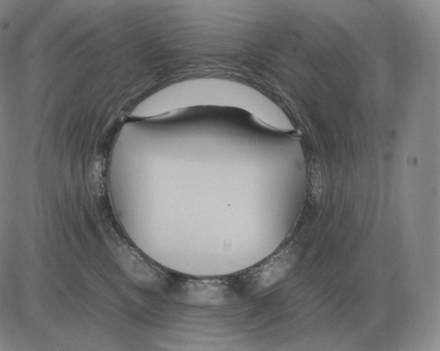 X0000082750378200702240045