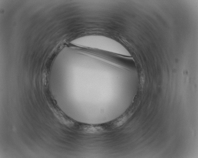 X0000082750379200702240045