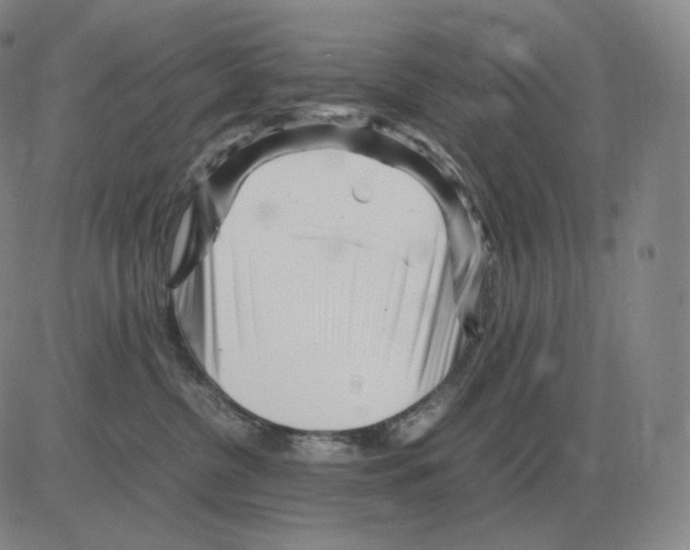 X0000082750380200702240045