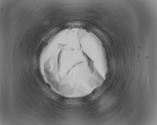 X0000082750381200702240045