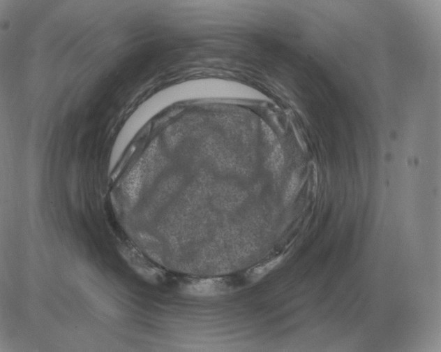 X0000082750382200702240045